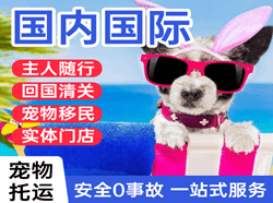 天河航空运输国际宠物托运 【国